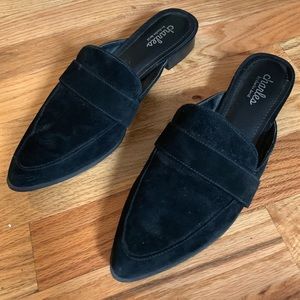 Charles by Charles David Elijah Mule